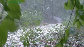 Meteoroloji'den Şiddetli Yağış ve Fırtına Alarmı!