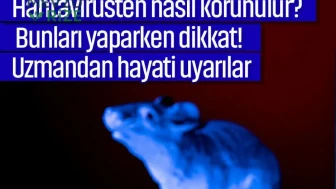 Hantavirüsten nasıl korunulur? Bunları yaparken dikkat! Uzmandan hayati uyarılar