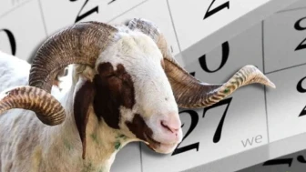 2026’da Afrika’ya Kurbanlık Bağış Fiyatları Ne Kadar? Bağış Süreci Nasıl İşliyor?