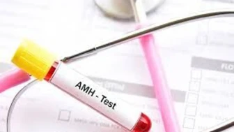 AMH Testi: Kadınların Üreme Sağlığını Değerlendiren Önemli Bir Test