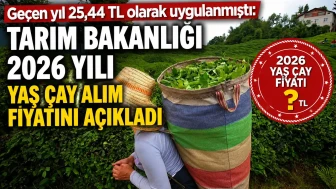 Geçen yıl 25,44 TL olarak uygulanmıştı: Tarım Bakanlığı 2026 yılı yaş çay alım fiyatını açıkladı