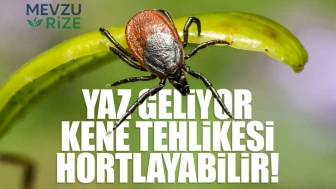 Yaz Aylarında Kene Riskine Dikkat: Tehlikeler Yeniden Gündemde!