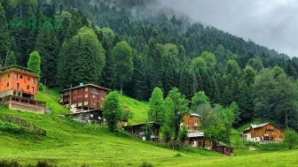 Ayder Yaylası’nda Tatil Yapmanın Maliyeti Ne Kadar? 2026 Yaz Sezonu Fiyatları Merak Ediliyor