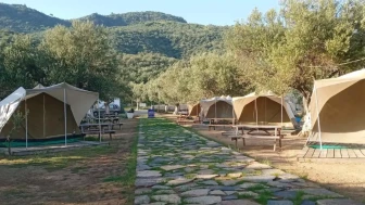 Kamp Olive nerede? Kamp Olive nasıl gidilir, güzel mi?