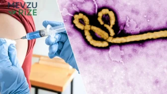 DSÖ'den Ebola Uyarısı: Aşının Geliştirilmesi İçin 9 Ay Sürebilir