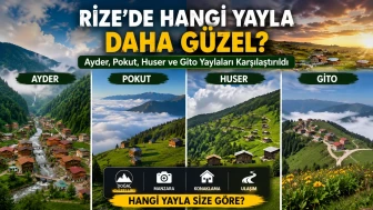 Rize’de Hangi Yayla Daha Güzel? Ayder, Pokut, Huser ve Gito Yaylaları Karşılaştırıldı