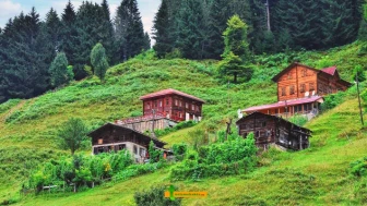 Karadeniz’de Köyüne Dönüp İş Kurmak İsteyenler Bu Destekleri Araştırıyor: Kırsal Turizm ve Yayla Yatırımları Yeniden Gündemde