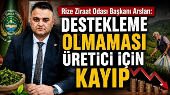 Rize Ziraat Odası: Yaş çay taban fiyatı yeterli, destekleme ücreti kayıp!