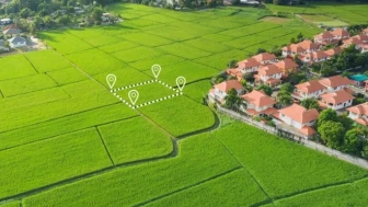 Karadeniz’de Arsası Olanlar Dikkat: Miras Kalan Arazilerde Bu Detayı Bilmeyenler Hak Kaybı Yaşayabiliyor