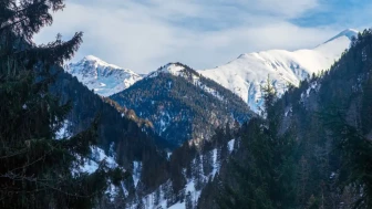 Galer Düzü yaylası nerede? Galer Düzü güzel mi, nasıl gidilir?
