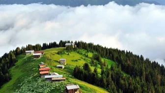 Pokut Yaylası nerede? Pokut Yaylasına nasıl gidilir, güzel mi?