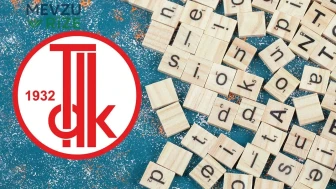 Başıboş nasıl yazılır? Başıboş kelimesi TDK'ya göre bitişik mi yazılır ayrı mı?