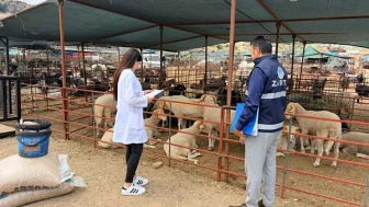 Kepez'de kurban satış ve kesim alanları denetlendi