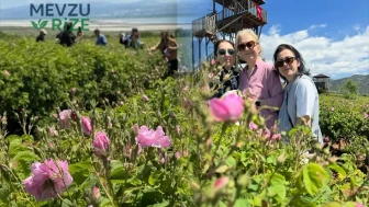 Isparta'da Gül Sezonu Resmen Başladı: İlk Güller Ardıçlı Köyü'nde Çiçek Açtı!