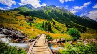 Çayeli Gezilecek Yerler - Rize Çayeli Gezi Rehberi