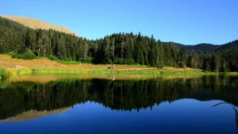 Yenice Ormanları nerede? Yenice Ormanları'na nasıl gidilir güzel mi?