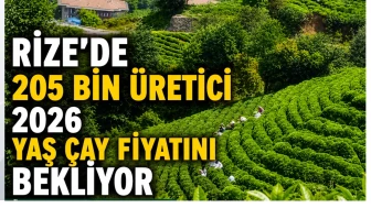 Rize’de 205 Bin Üretici 2026 Yaş Çay Fiyatını Bekliyor