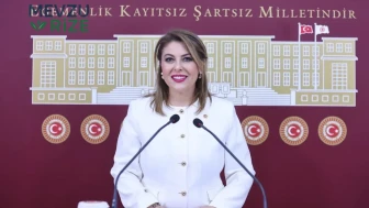 CHP'li Işık Gezmiş: Fındık ve Madencilik Arasında Bir Tercih Yapmayacağız!