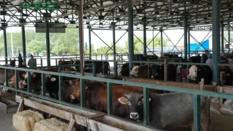 EBB'den Kurban Bağışları İçin Yeni Hisse Bedeli Duyurusu