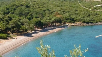 Çubucak Orman Kampı (Çubucak Camping) nerede, nasıl gidilir?