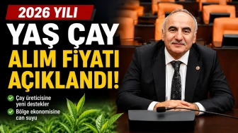 2026 Yılı yaş çay alım fiyatı açıklandı