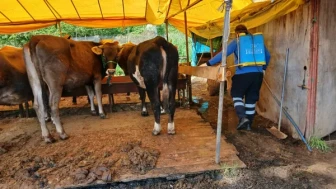 Trabzon’da kurban alanlarında hijyen ve ilaçlama seferberliği