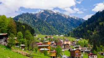 Ayder Yaylası nerede? Ayder Yaylası güzel mi, nasıl gidilir?