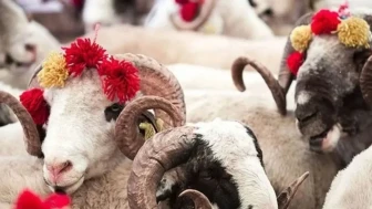Kurban vekaleti nasıl verilir? Kurban vekaleti kimlere verilebilir, şartları ne?