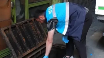 Rize Belediyesi’nden Sivrisineklere Karşı Erken Önlem: Larva İlaçlamaları Sürüyor