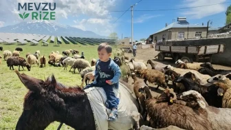 Bitlis’te Yüzyıllık Gelenek Tekrar Hayat Buldu: Vatandaşlar Gün Boyu Coşkuyla Katılıyor!