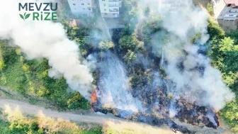 Samsun'da Tarım Alanında Yangın: Anız Alevlere Teslim Oldu!