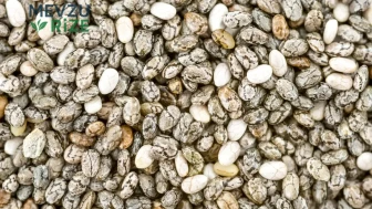 İştahı kesmede birebir: O tohum zayıflatıyor