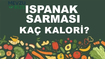 Ispanak Sarması kaç kalori? Ispanak Sarmasının besin değeri nedir?