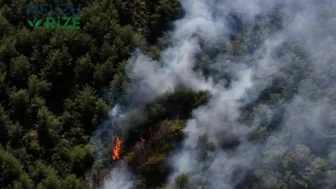 Orman Yangınlarının Baş Tacı Sebebi: İhmal, Son Raporla Ortaya Çıktı!