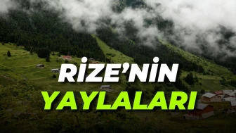 Rize'deki Bütün Yaylalar