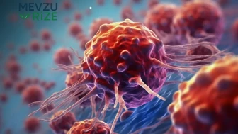 Mamografi yanlış bilinen gerçek! Hayat kurtaran yöntem mi, risk mi? Profesör, açıkladı