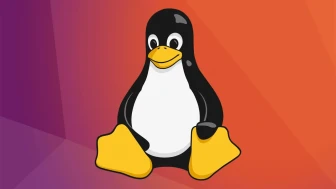 Linux Kullananlar Dikkat: Kritik Root Açığı Bulundu
