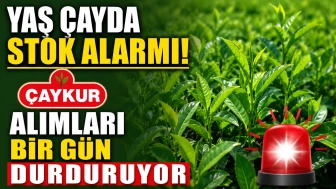 Yaş Çayda Stok Alarmı: ÇAYKUR Alımları Bir Gün Durduruyor