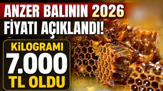 Anzer Balının 2026 Fiyatı Açıklandı: Kilogramı 7 Bin TL Oldu
