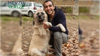 Melis Alaei kimdir, kaç yaşında? Kocakarı Ansiklopedisi Melis Alaei nereli?