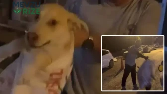 Hatay'da Sokak Hayvanlarına Yönelik İnsafsızlık: Çuvalda Bulunan Köpek Vatandaşlar Tarafından Kurtarıldı