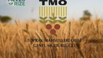 TMO Fiyat Listesi 2026 Nohut ve Fındık Ne Kadar?