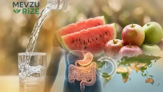 Mide Sindirim Süreleri: Hangi Besinler Daha Uzun Süre Tok Tutar?