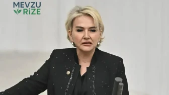 Nimet Özdemir Kimdir, Hangi Partiye Geçti?