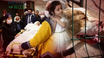 Asiye Ateş Davasında Şok Karar: Mahkeme Pitbull'ları Silah Sayarak Sanıklara Cezai Müeyyide Uyguladı!