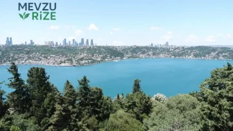 Meteoroloji Uzmanından Önemli Uyarı: Yaz Sıcaklıkları Kış Aylarına Kadar Devam Edecek!