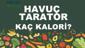 Havuç Tarator kaç kalori? Havuç Taratorun besin değerleri neler?