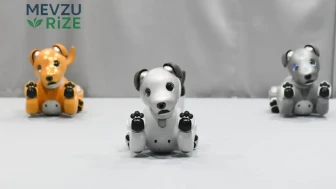 Sony'den Beklenmedik Hamle: Efsanevi Robot Köpek Aibo'nun Satışı Sona Erdi!