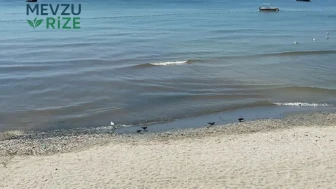 Türkiye'de sahillerde sigara içmek yasaklanıyor mu? Yüksek para cezası talep edildi!