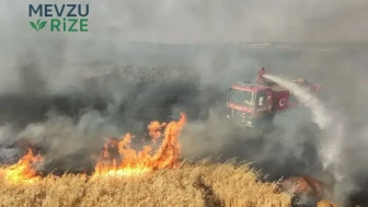 Tekirdağ'da Buğday Tarlasında Çıkan Yangın 100 Dekar Alanı Yok Etti!